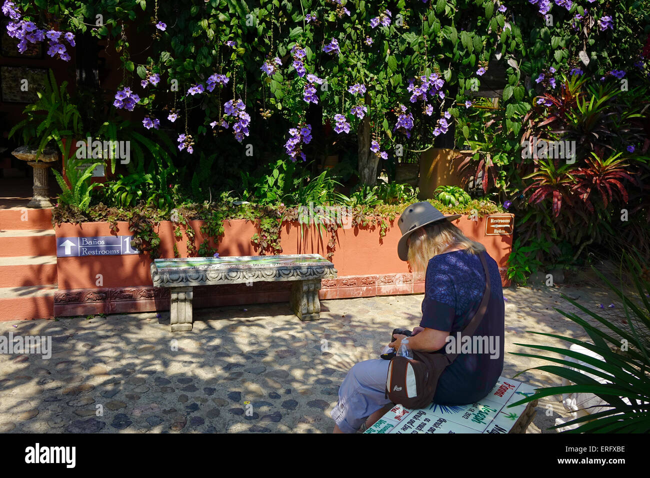 Besucher im Vallarta Botanic Gardens Überprüfung ihrer Fotos. Bengalen Trompete Reben hängen im Hintergrund Stockfoto