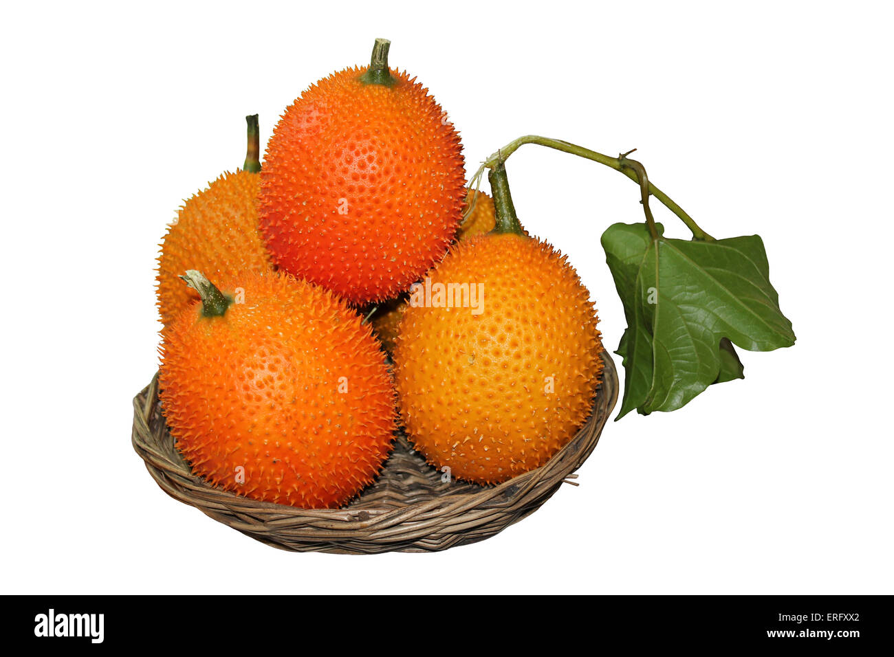 GAC Frucht Momordica Cochinchinensis Ausschnitt Stockfoto