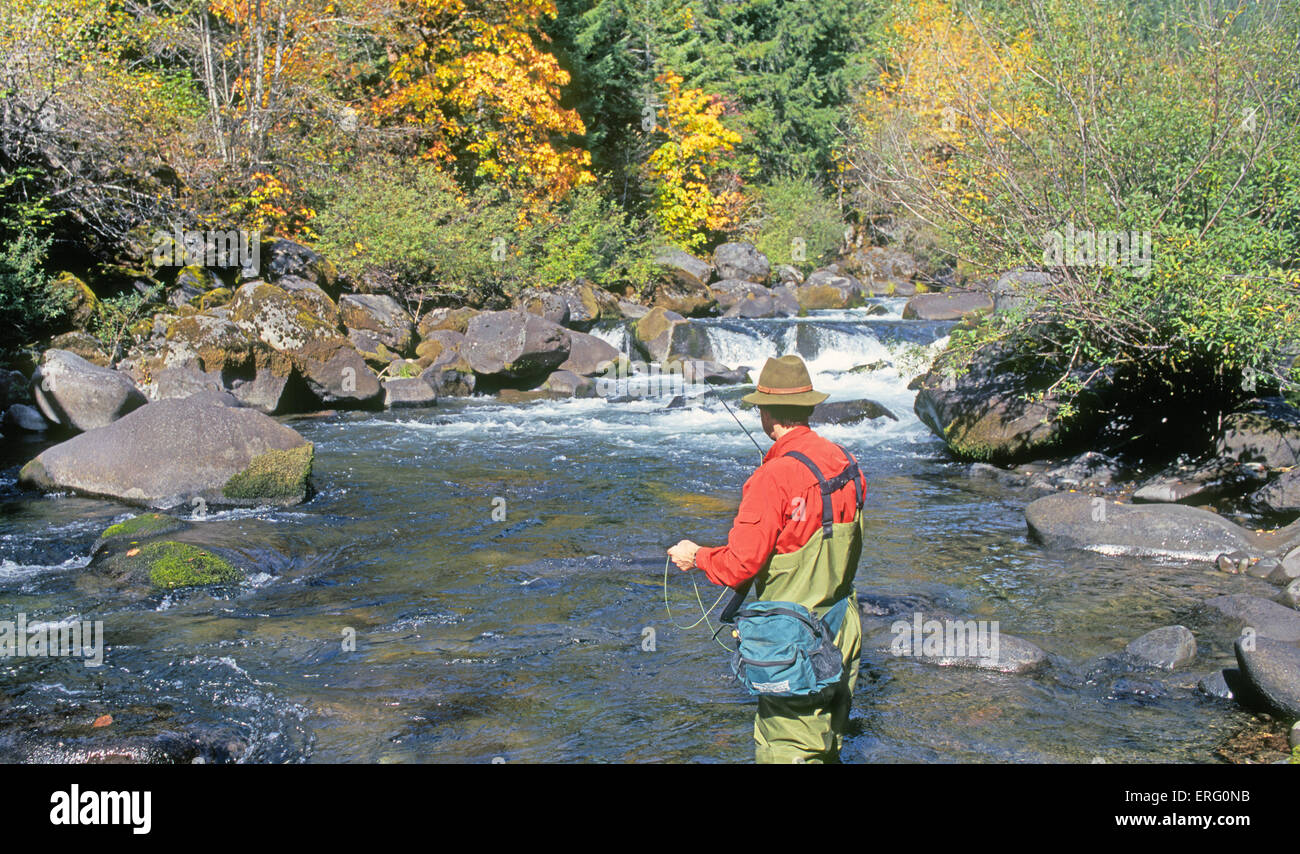 Ein Fliegenfischer wirft für Regenbogenforellen in middle Fork des Willamette River in den Cascade Mountains von zentral-oregon Stockfoto