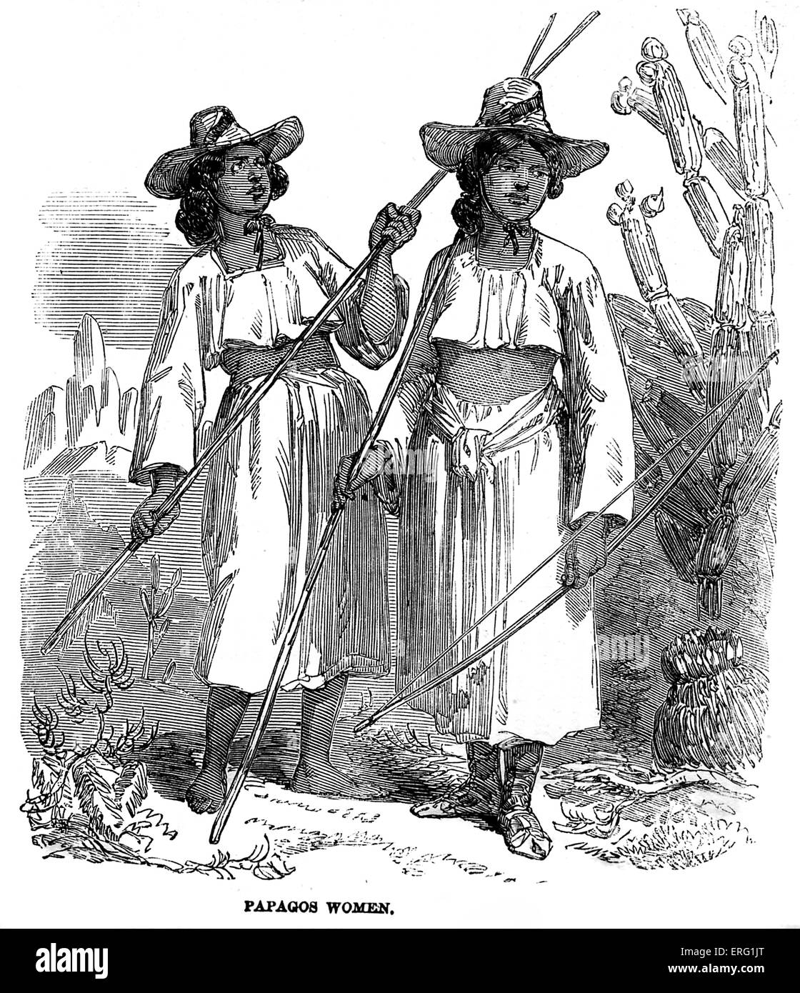 Papagos Frauen.   (Indianer des wilden Westens. "London Illustrated News 1858.) Stockfoto