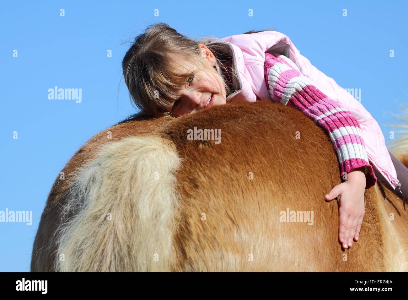 Mädchen mit Haflinger-Pferd Stockfoto