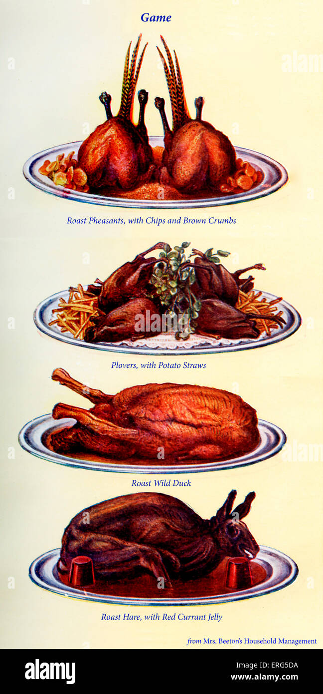 Frau Beeton Kochbuch - Spiel: Braten Fasane mit Pommes Frites und braune Krümel, Regenpfeifer mit Kartoffel-Strohhalme, gebratene wilde Ente Stockfoto