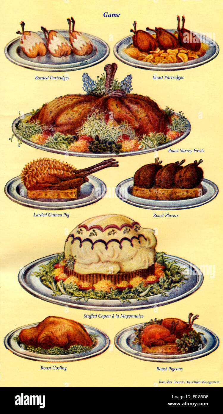 Frau Beeton Kochbuch - Wildgerichte: Barde, Rebhühner, gebratene Rebhühner, Braten Surrey Hühner, Perlhühner, Braten gespickter Stockfoto