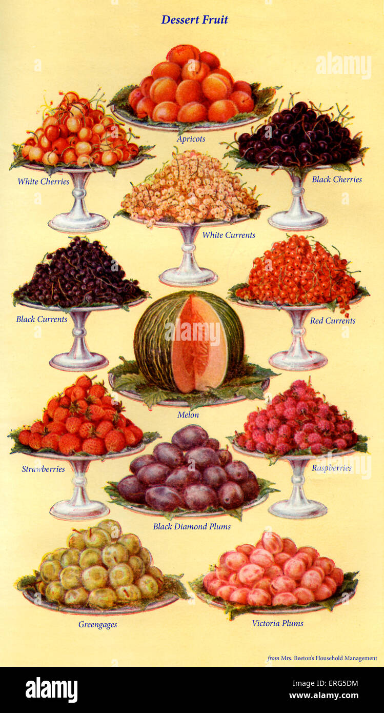 Frau Beeton Kochbuch - Tafelobst (von 1 bis 12): weiße Kirschen, Aprikosen, schwarze Kirschen; Weiß, schwarz und rot Stockfoto