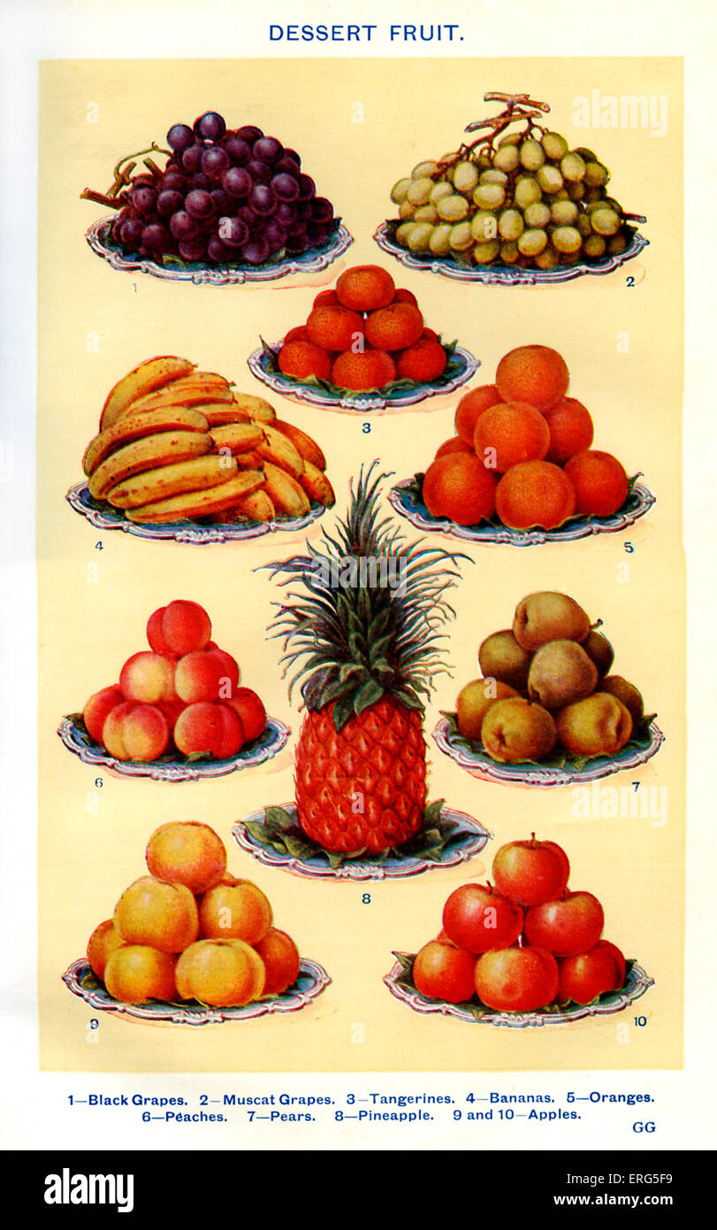 Frau Beeton Kochbuch - Tafelobst (von 1 bis 10): schwarze Trauben, Muscat-Trauben, Mandarinen, Bananen, Orangen, Pfirsiche, Stockfoto