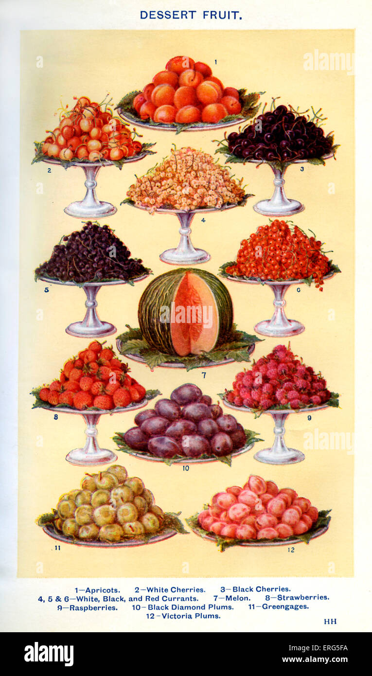 Frau Beeton Kochbuch - Tafelobst (von 1 bis 12): weiße Kirschen, Aprikosen, schwarze Kirschen; Weiß, schwarz und rot Stockfoto