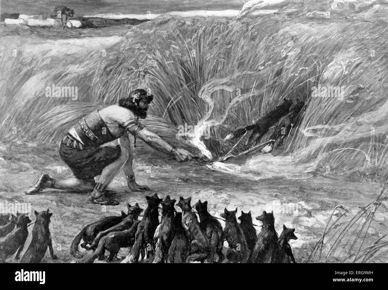 Samson und die Füchse von J James Tissot. Illustration zum Buch der Richter, 15,4: "Und Samson ging und fing dreihundert Füchse, nahm Flugfeuer, Zahl für Zahl gedreht und setzen ein Feuerbrand in der Mitte zwischen zwei Schwänzen". JT: Französischer Maler, 15. Oktober 1836 – 8. August 1902 Stockfoto