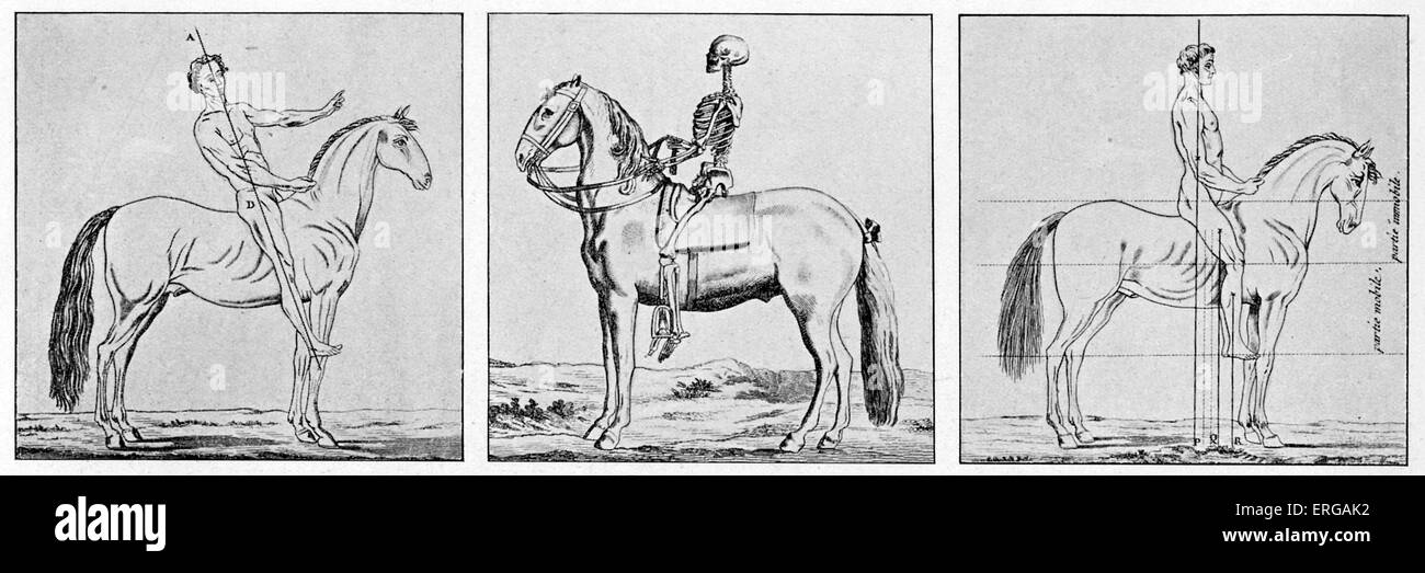Anweisungen über die Haltung auf dem Pferd und halten eine Pferd aus dem 18. Jahrhundert. Stockfoto