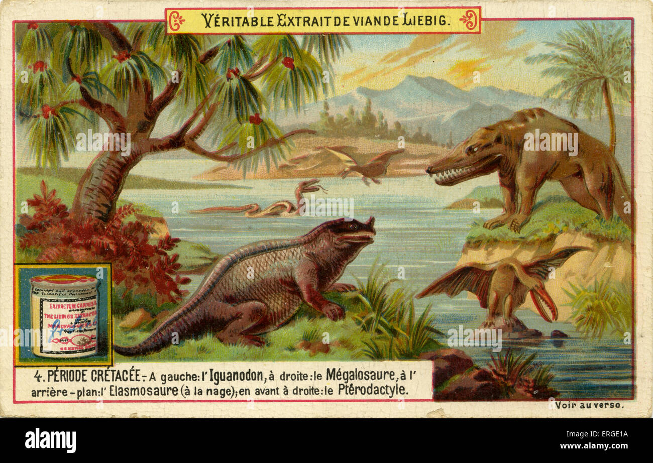 Geologischen Perioden. 1892 veröffentlichte. Kreidezeit ("Periode Crétacée"). Übersetzung: "Links: Iguanadon, rechts: Megalosaurus, im Hintergrund: Elasmosaurus (Schwimmen); vorne rechts: Flugsaurier. " ("A gauche: l'Iguanadon, À Droite: le Mégalosaure, À l'Arrière-Plan: l'Elasmosaure (À la Nage); En Avant À Droite: le Pterodactyle."). Liebig Sammelkarten-Serie. Stockfoto