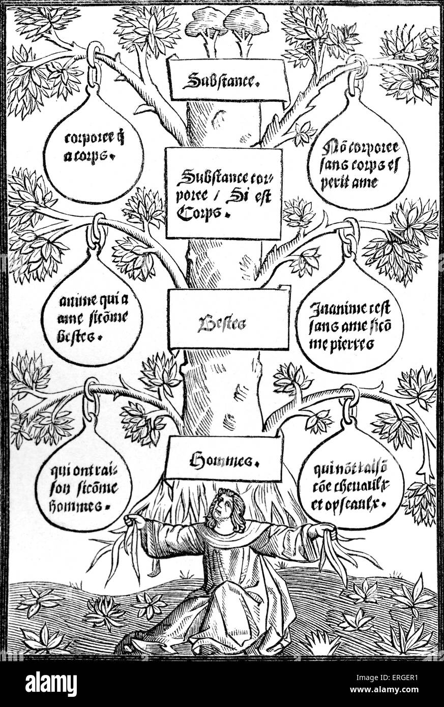 "Baum von Wesen und Stoffen" - Reproduktion des Holzstichs der Cuer-de-Philosophie. Gedruckt in Paris für Jehan De la Stockfoto