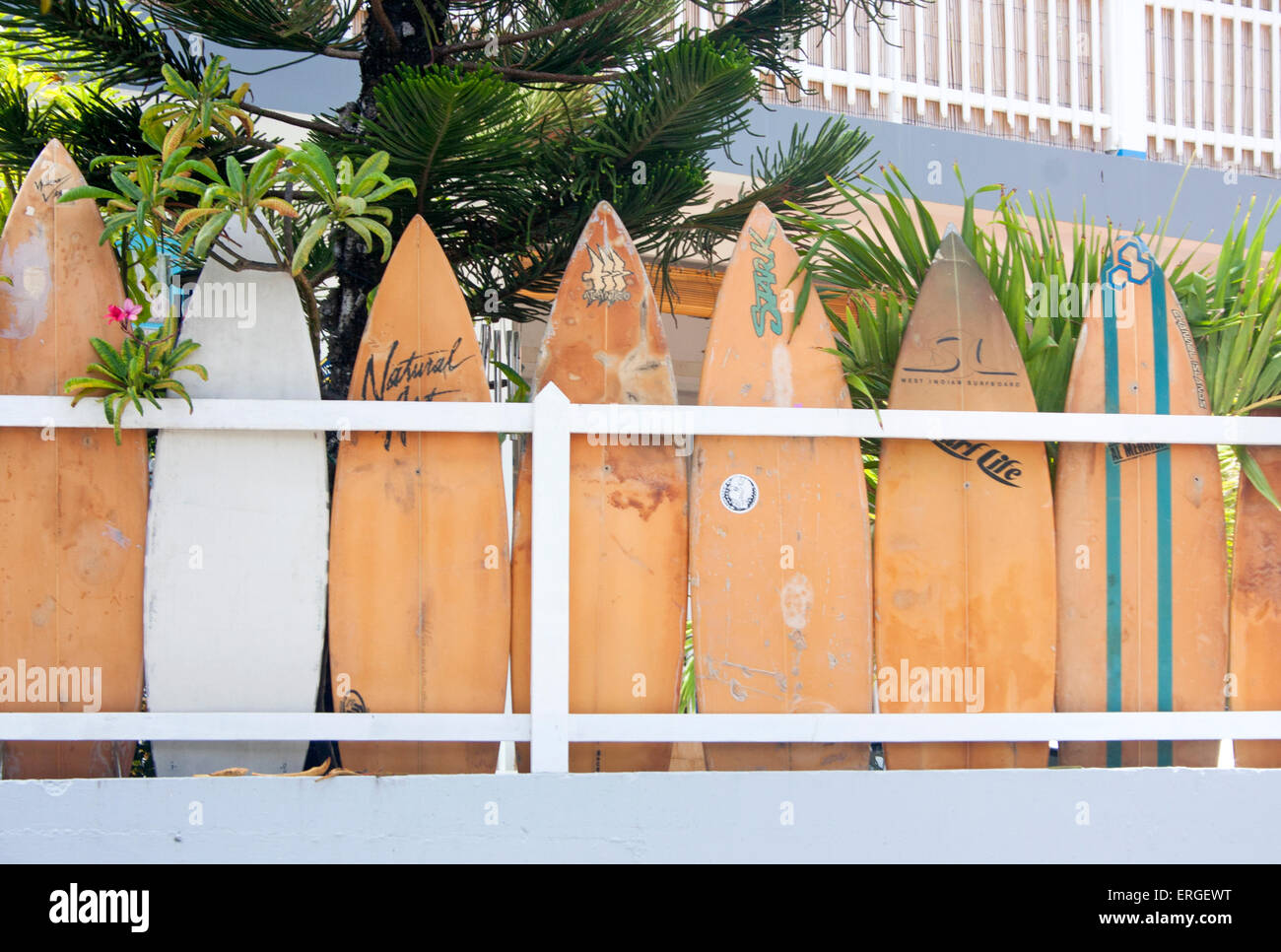 Surfbretter säumen den Zaun eines Hauses im Stadtteil Corossol St. Barts Stockfoto