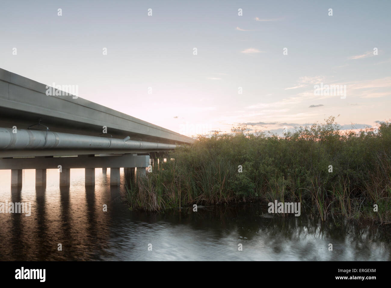 Natürliche Wasser fließt unter The One Mile Bridge des Tamiami Trail in die Everglades. Stockfoto