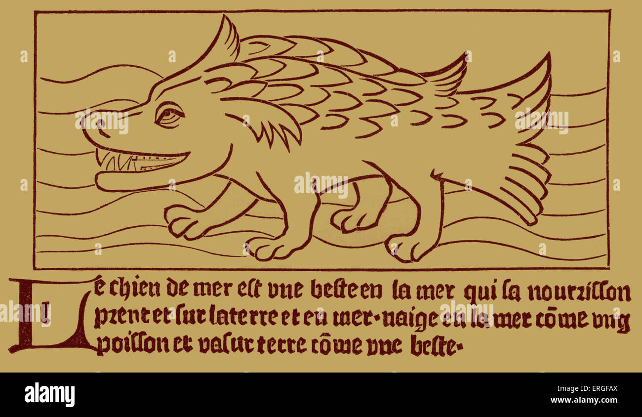 "Die Meer - Dog" - Reproduktion eines hölzernen Gravur in "Dyalogue des Créatures" von Gérat Leeu, 1482, Gouda. Stockfoto