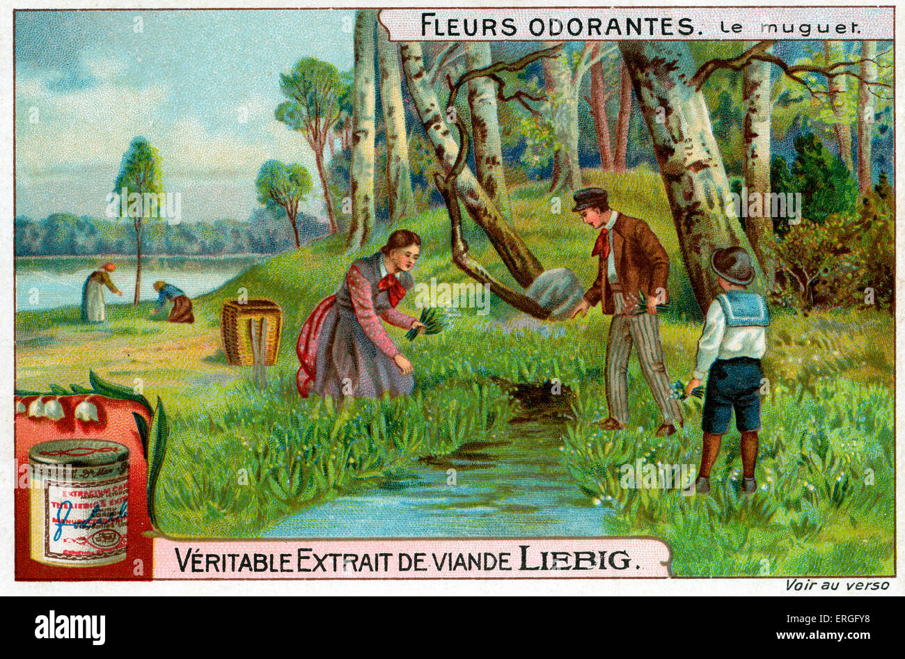 Süß - duftenden Blumen: Lilly des Tales.  1911 (Französisch: Le Muguet). Liebig Fleisch Extrakt Sammelkartenspiel. Stockfoto
