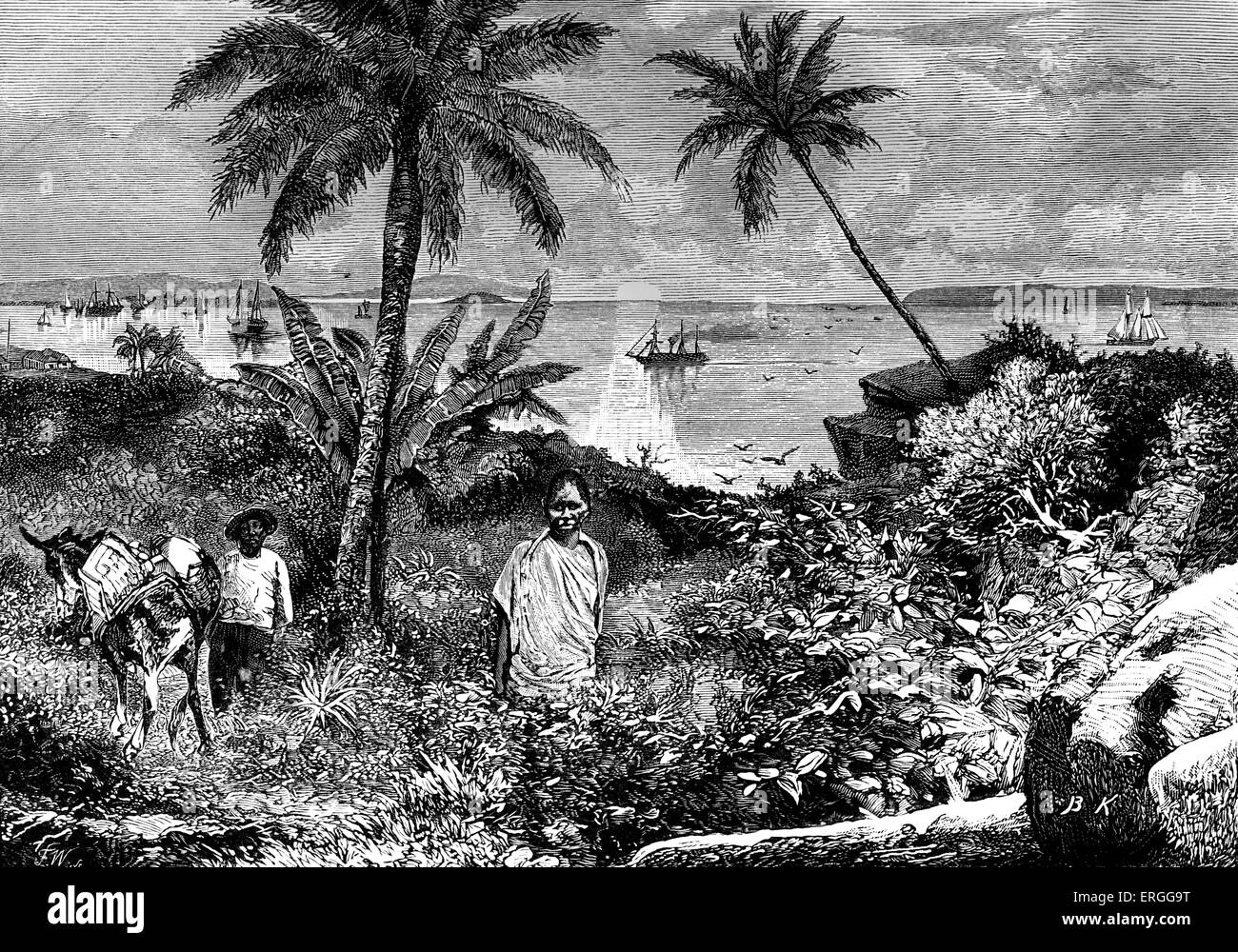 Die Bucht von Panama im Golf von Panama, Mann mit Maultier c. 1880 s.  Illustration von Bohuslav Kroupa (1838-1912) Stockfoto