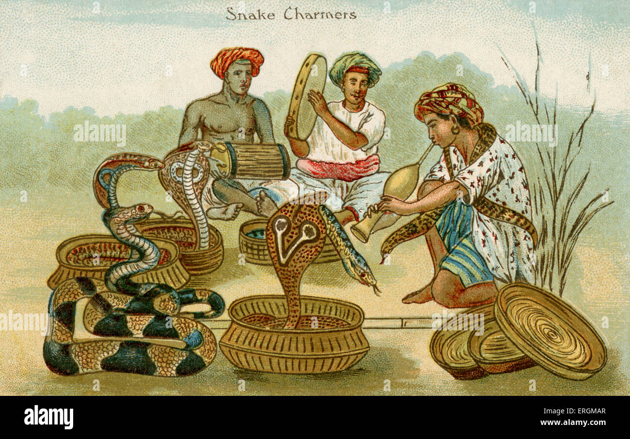 Schlangenbeschwörer. Illustration von Anfang des 20. Jahrhunderts. Zwei Musiker spielen Trommeln und ein Drittel spielt das Rohr zu einer Reihe von Kobras. Stockfoto