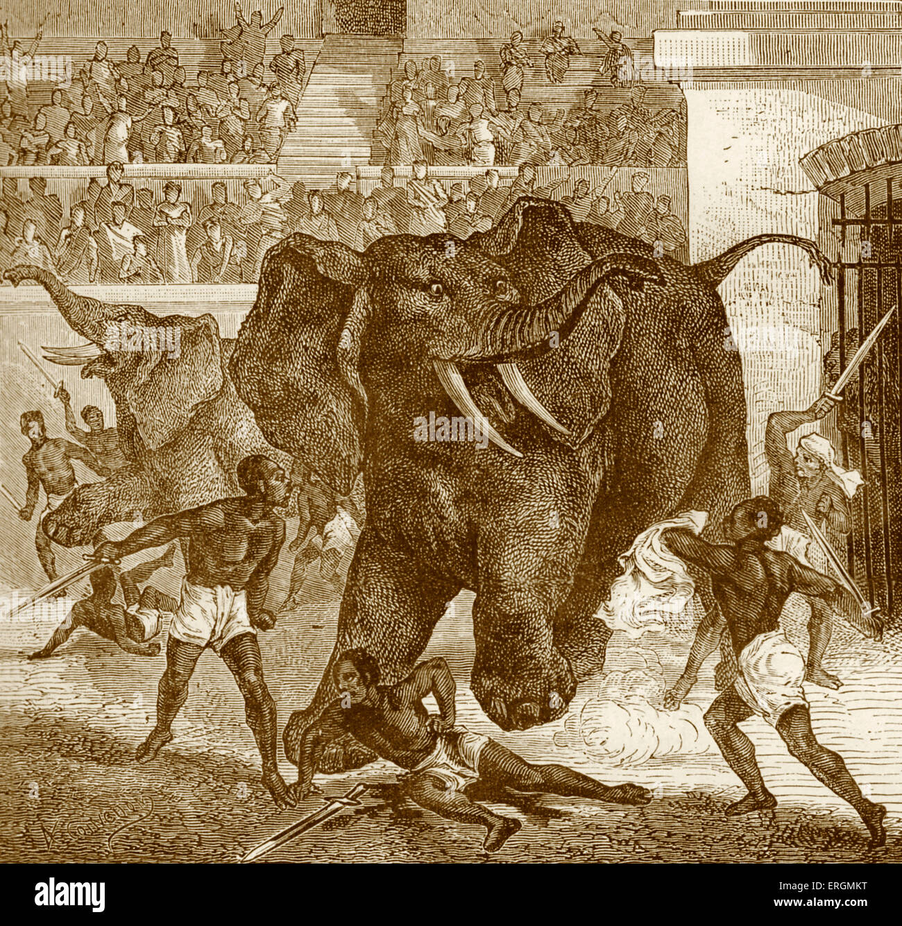 Spiele im Circus Maximus in Rom. Schwarze Häftlinge/Gefangenen Elefanten kämpfen. Chariot Rennen Stadion. Stockfoto