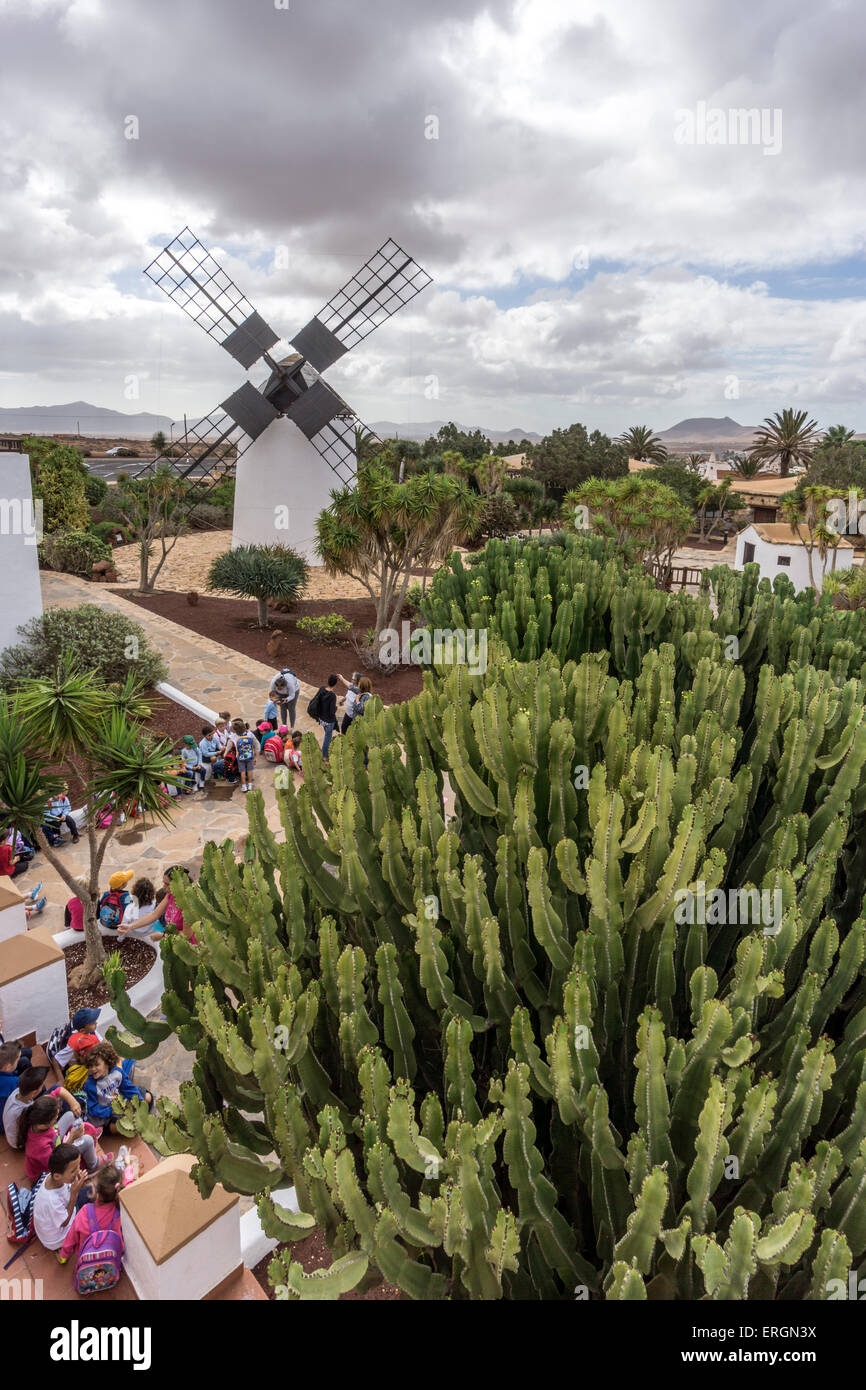 Molina de Antigua, Windmühle, Schule Klasse, Fuerteventura, Kanarische Inseln, Spanien Stockfoto