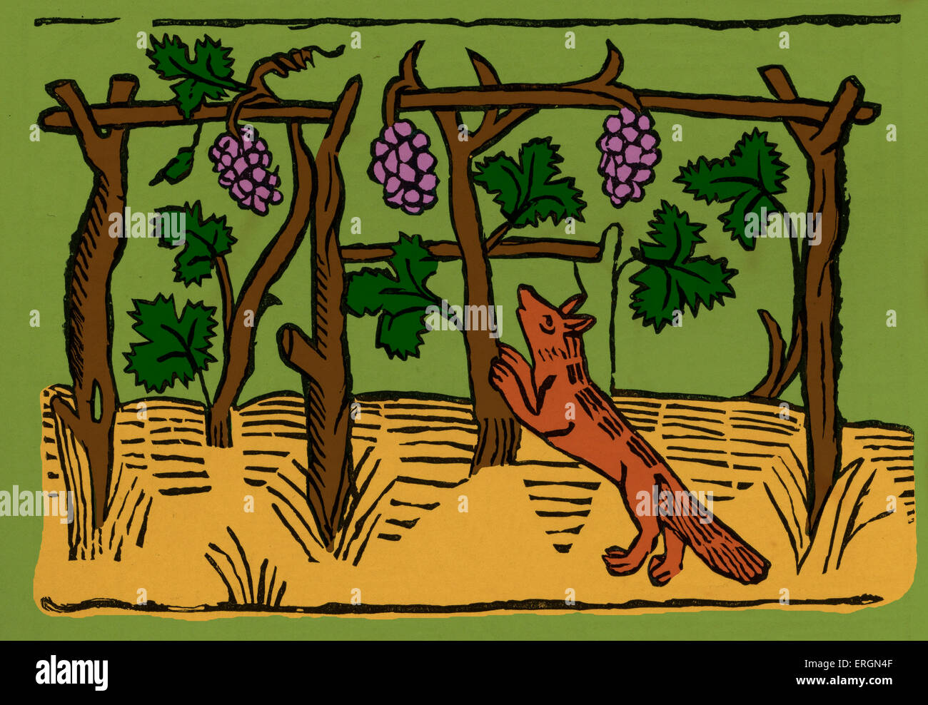 Der Fuchs und die Trauben aus Caxtons "Aesop". In dieser Fabel begehrt der Fuchs Trauben, die er nicht haben kann, letztlich zu kommen, Stockfoto
