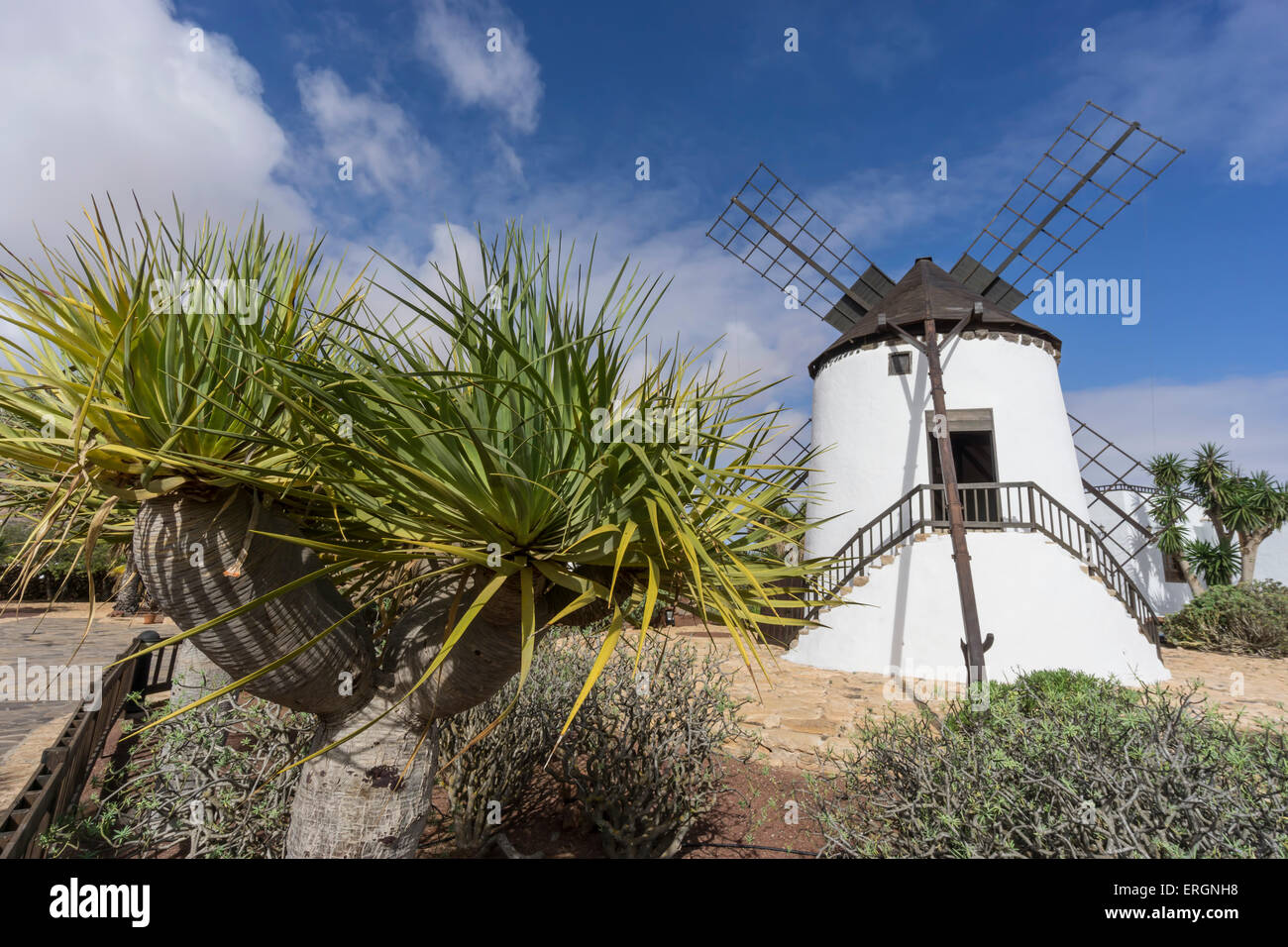 Molina de Antigua, Windmühle, Fuerteventura, Kanarische Inseln, Spanien Stockfoto