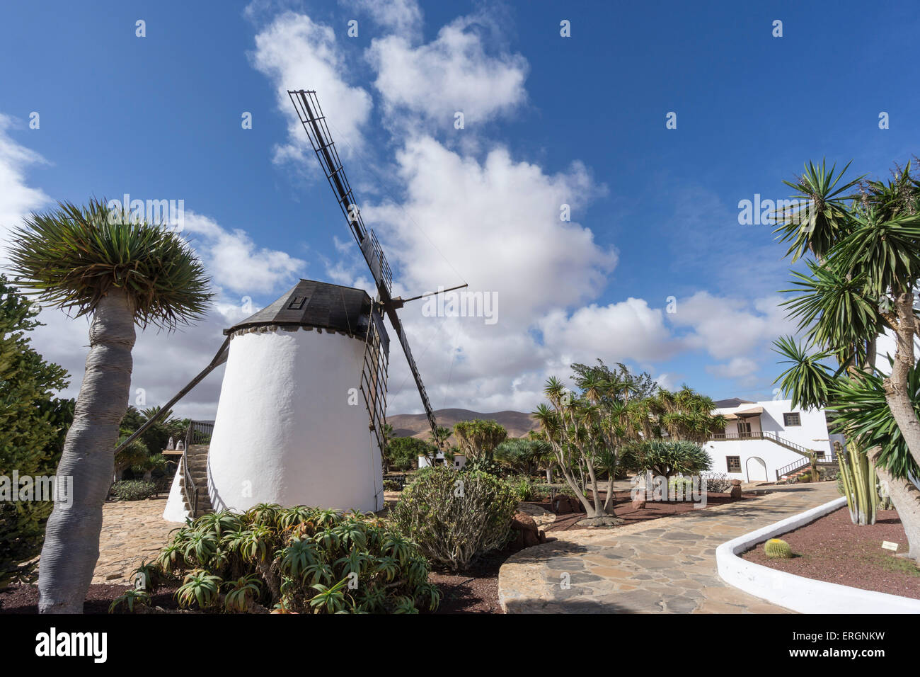 Molina de Antigua, Windmühle, Fuerteventura, Kanarische Inseln, Spanien Stockfoto