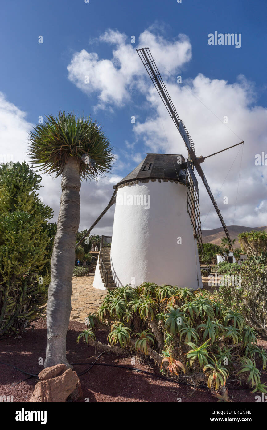 Molina de Antigua, Windmühle, Fuerteventura, Kanarische Inseln, Spanien Stockfoto