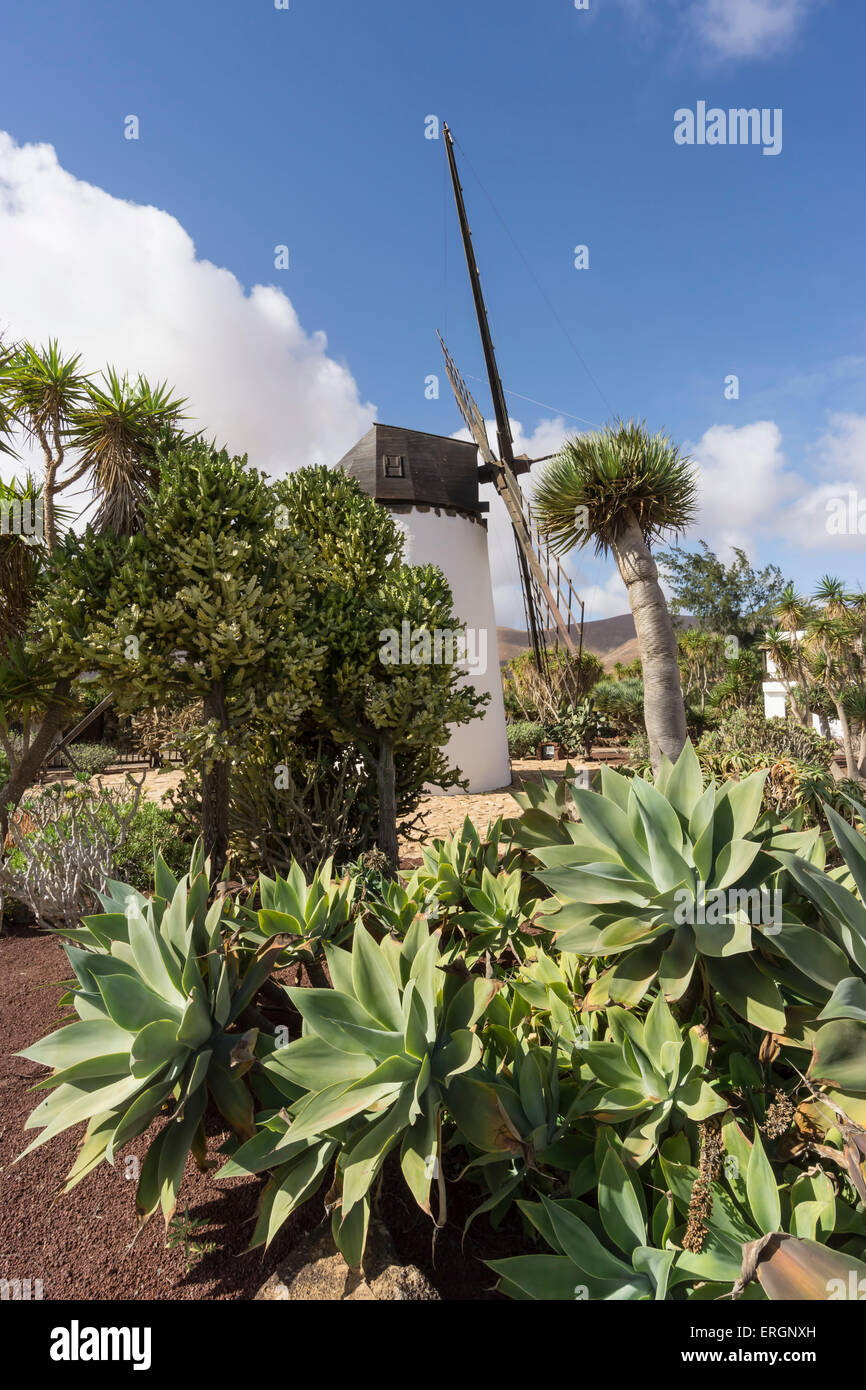 Molina de Antigua, Windmühle, Fuerteventura, Kanarische Inseln, Spanien Stockfoto