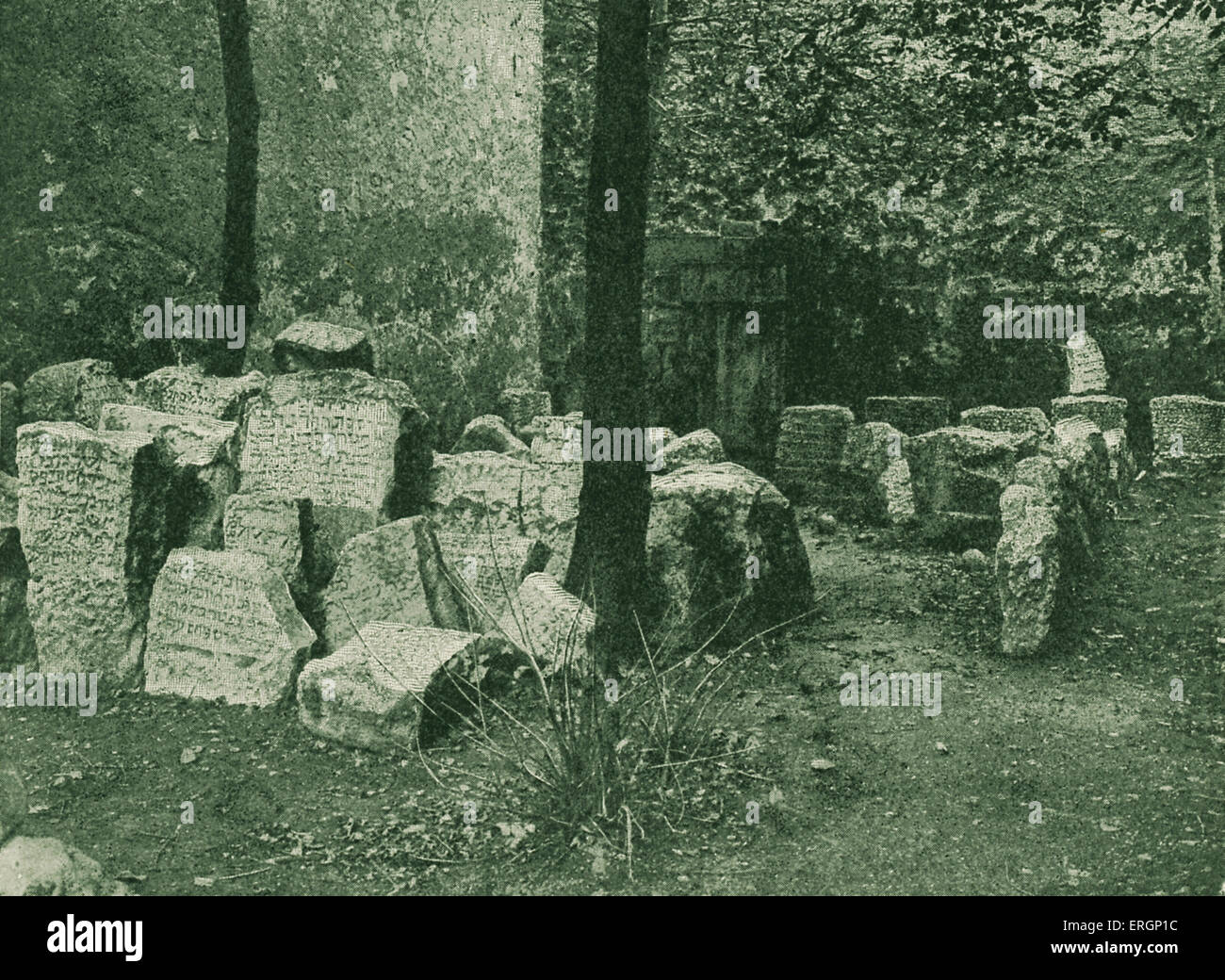 Antike Überreste eines jüdischen Friedhofs, Mainz / Mainz Deutschland. Stockfoto