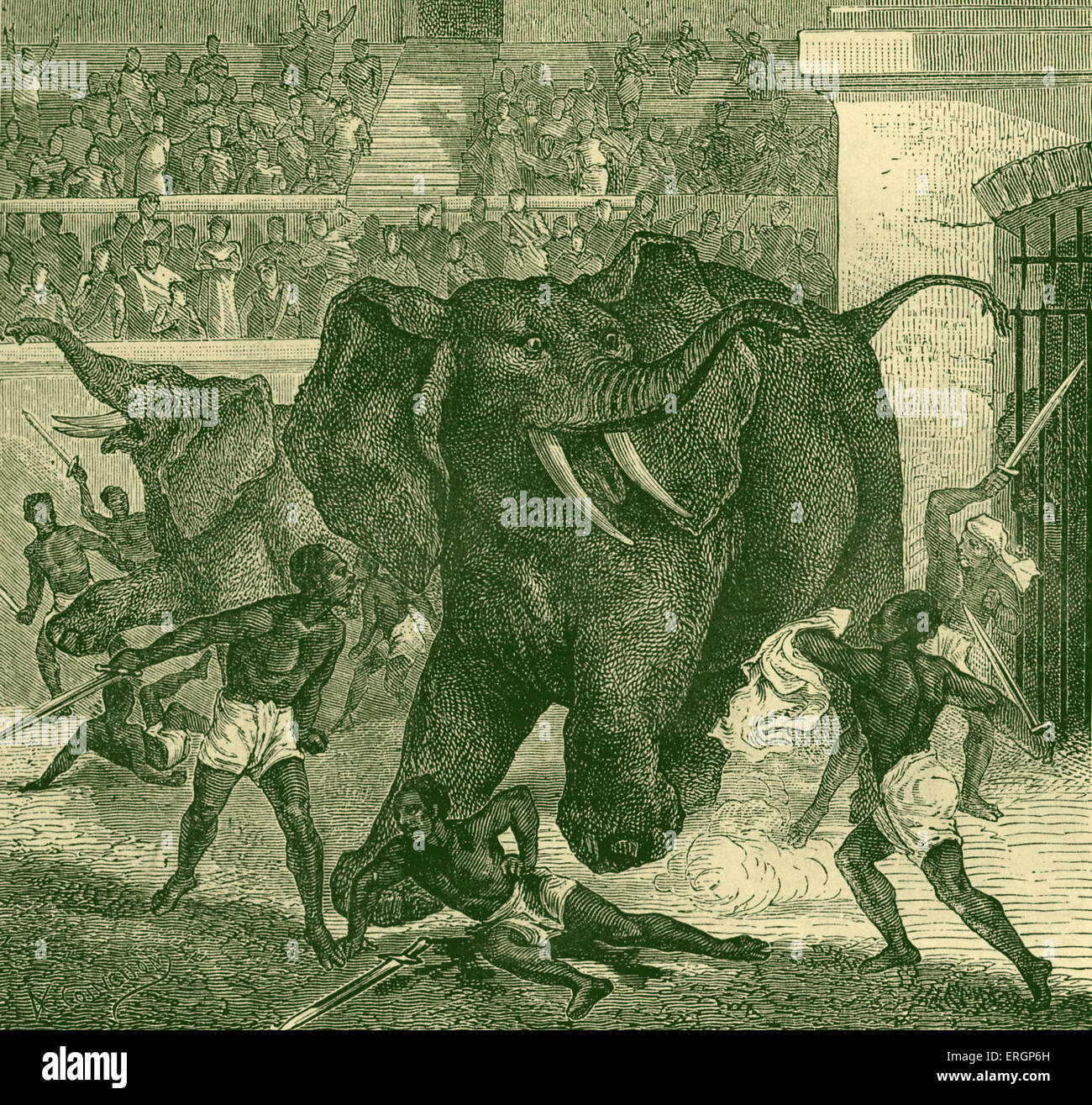 Römischen Circus. Menschenmassen beobachten Sklaven Elefanten mit Schwertern kämpfen. Stockfoto