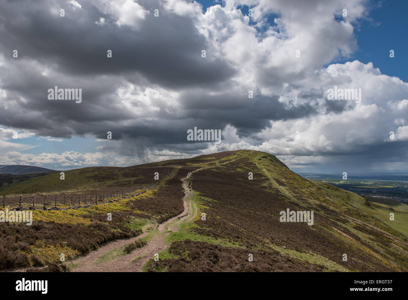 Caerketton Hügel über Edinburgh Stockfoto