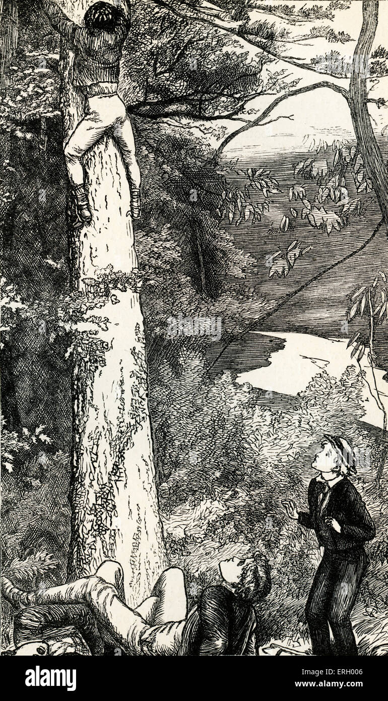 Tom Brown Schulzeit, von Thomas Hughes, erstmals veröffentlicht im Jahr 1857. Bildunterschrift lautet: "Klettern die Tanne nach der Turmfalke Stockfoto