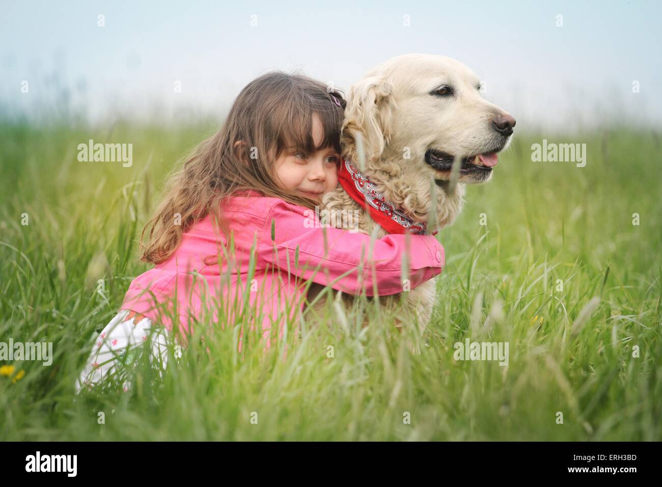 Mädchen und Golden Retriever Stockfoto