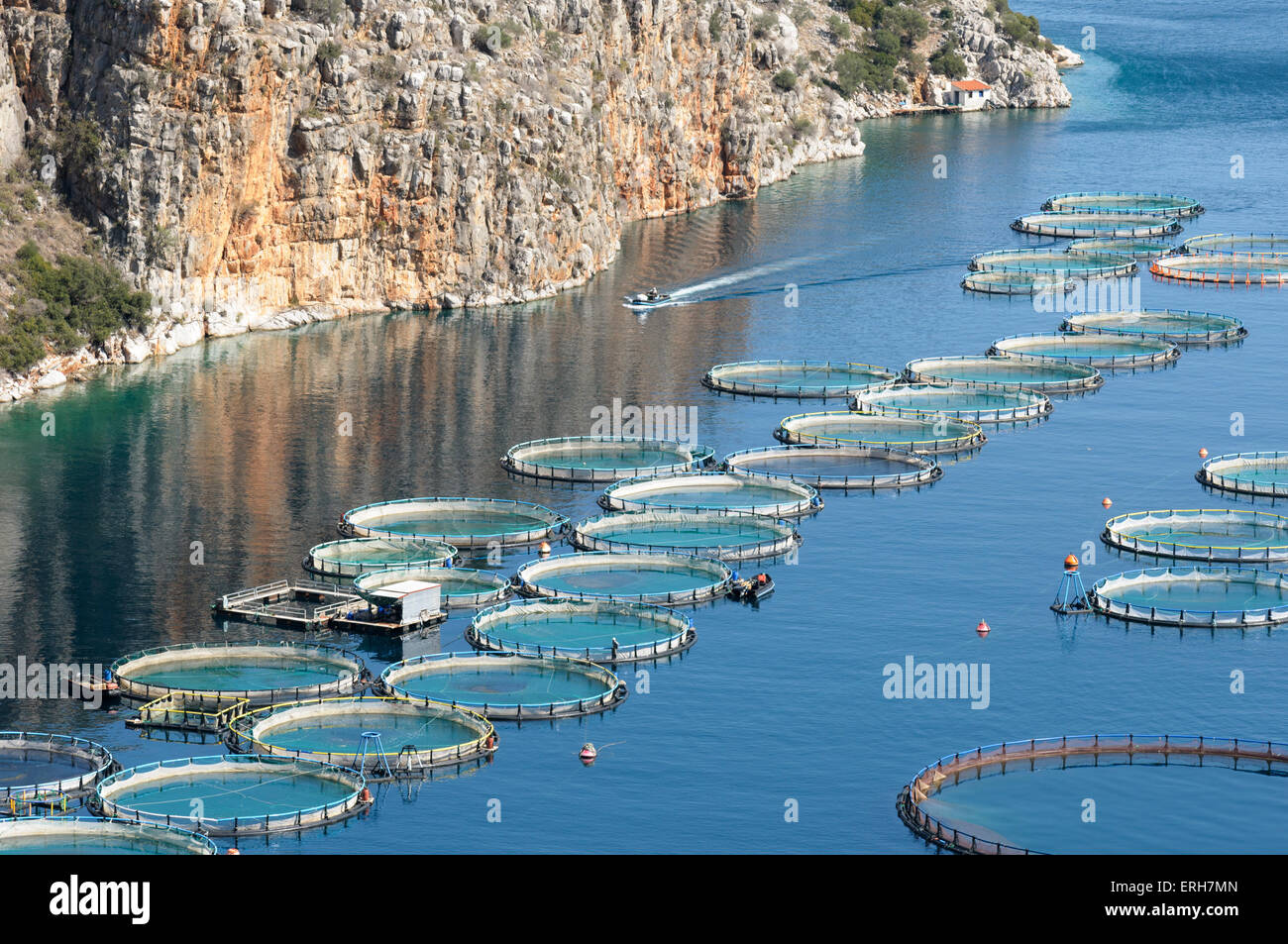 Offshore-Dorade und Bass Fischzucht, Griechenland Stockfoto