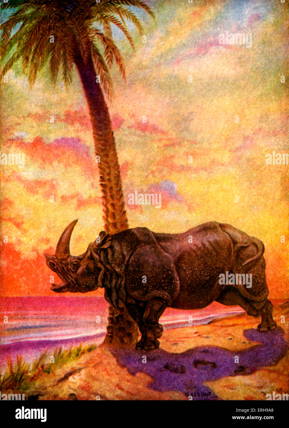 Nur So Geschichten von Rudyard Kipling. Wie die Nashorn bekam seine Haut. Farbe-Illustration von j.m. Gleeson (Datum nicht bekannt) Stockfoto
