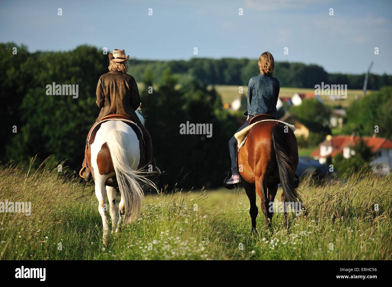 Fahrer Stockfoto