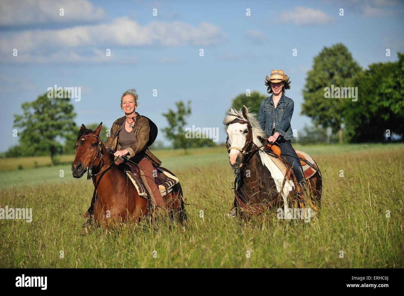 Fahrer Stockfoto
