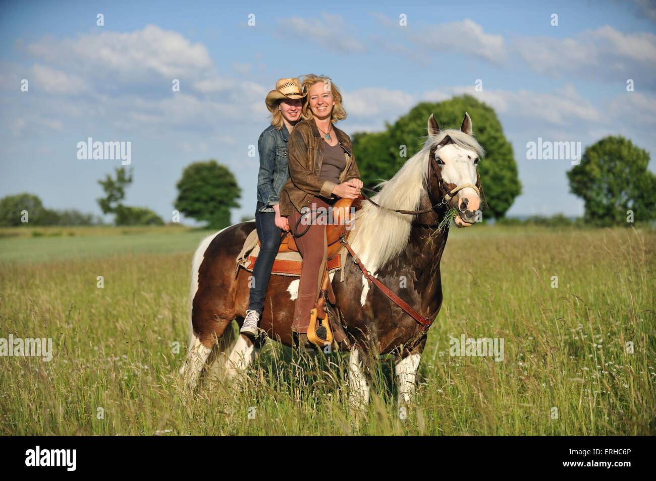 Reiter auf Pferd Stockfoto