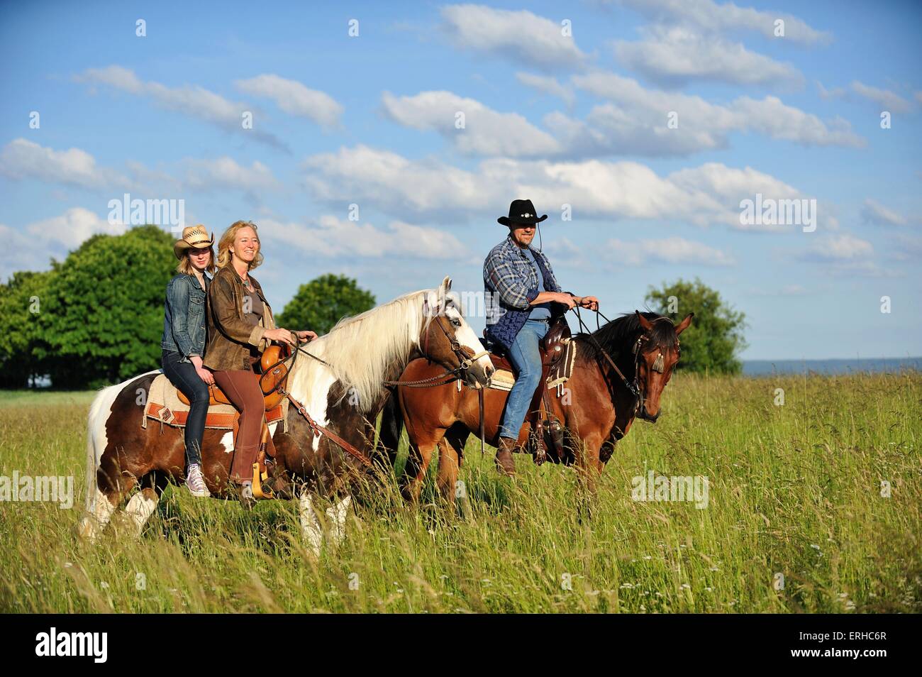 Fahrer Stockfoto