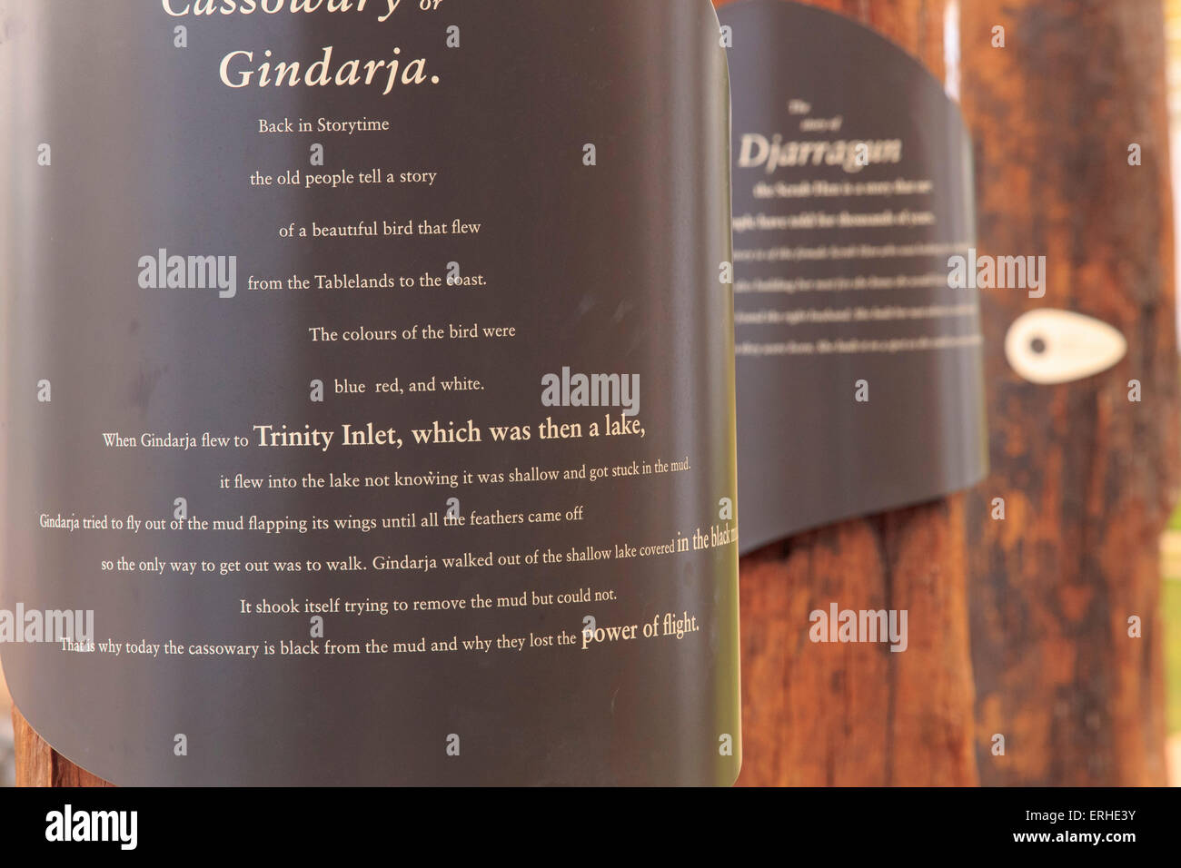 Kunst im öffentlichen Raum Anzeige von Holzmasten erzählt die Geschichte von den lokalen Aborigines auf dem Vorland bei Cairns, Queensland Stockfoto