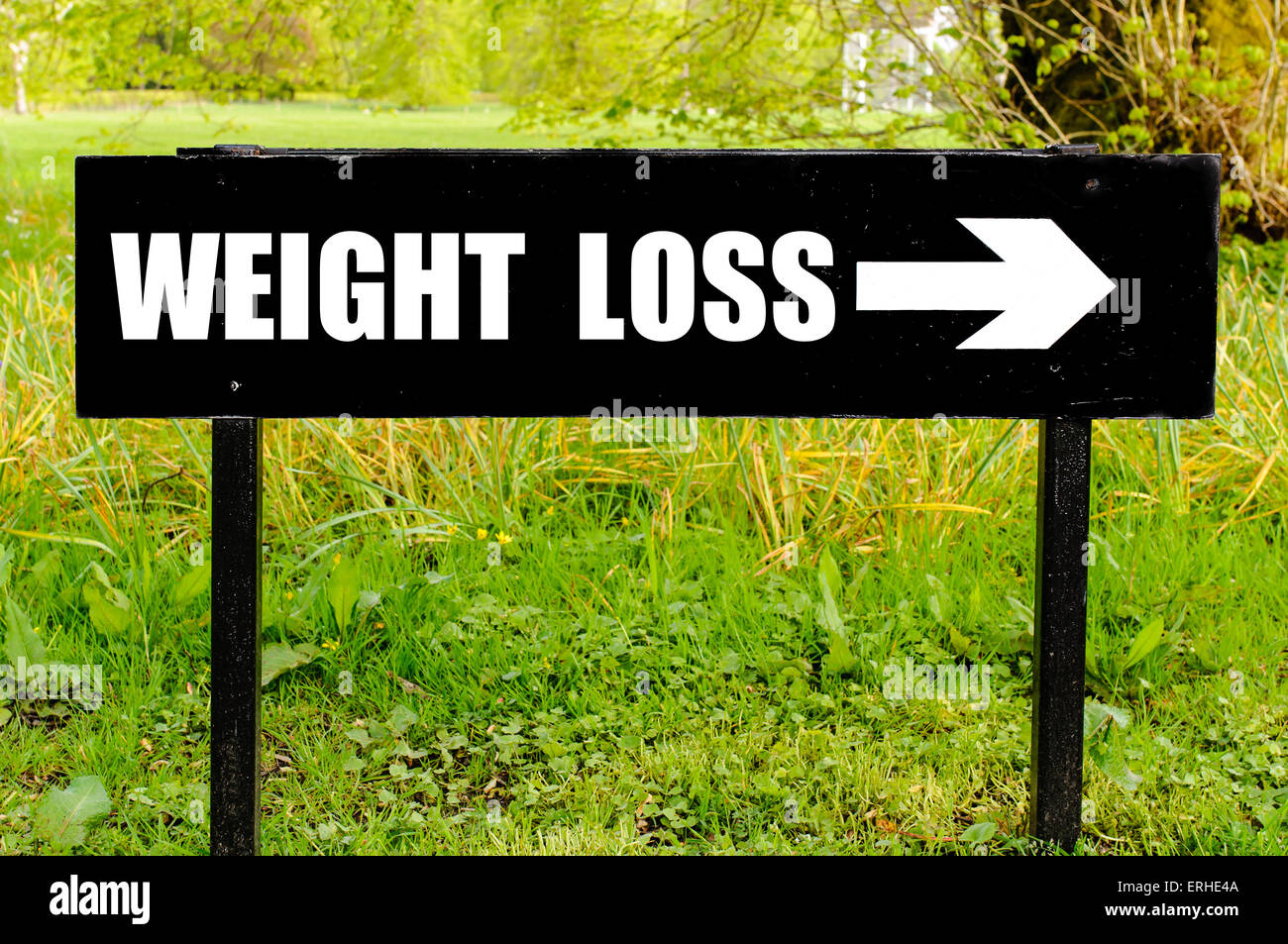 WEIGHT LOSS geschrieben am Richtungsanzeiger Schwarz Metall mit Pfeil nach rechts gegen natürlichen grünen Hintergrund Stockfoto