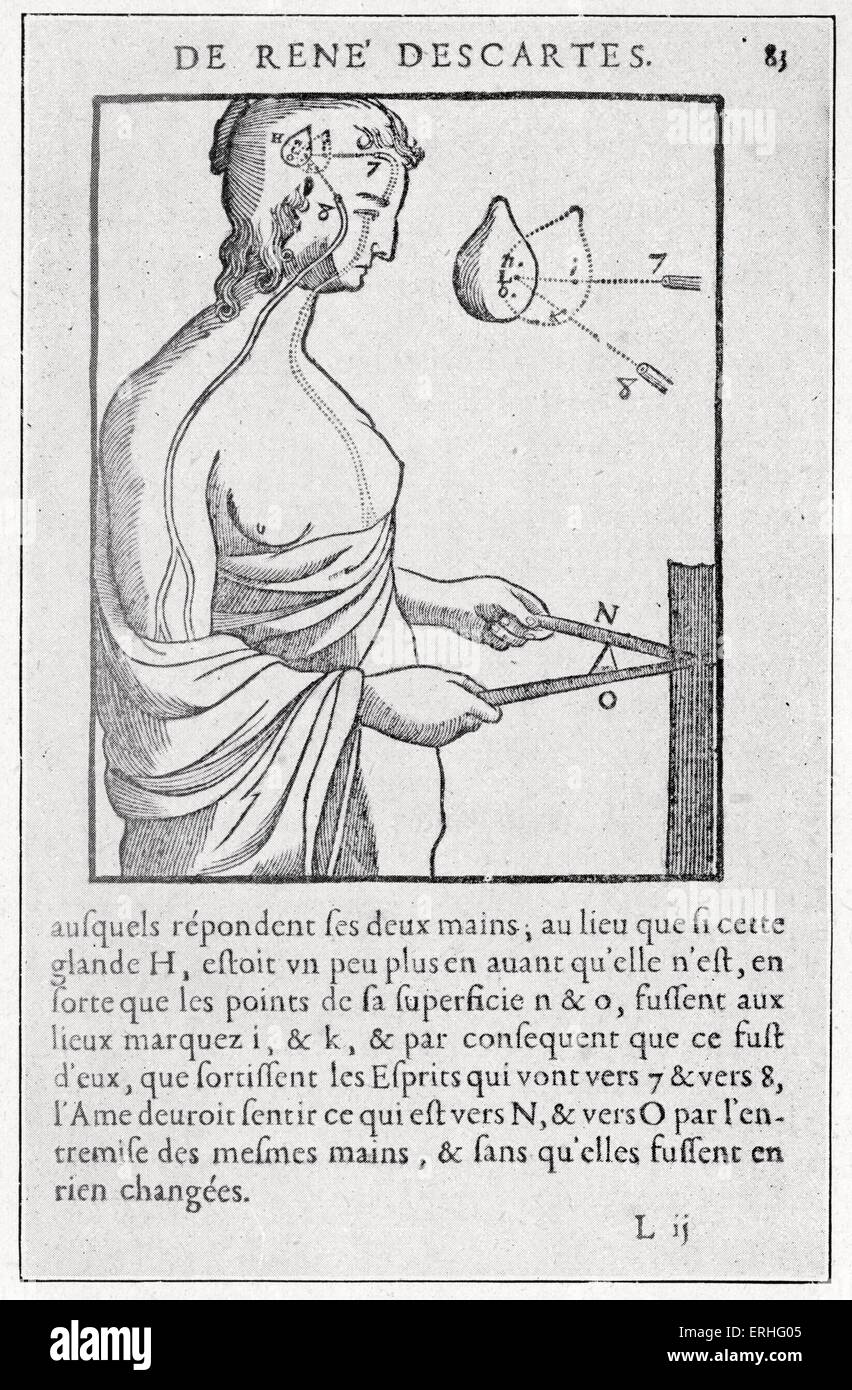 l ' Homme / De Hominem, eine Abhandlung auf den Menschen durch René Descartes.  Platte aus 1664 Edition, posthum veröffentlicht.  Abbildung Stockfoto