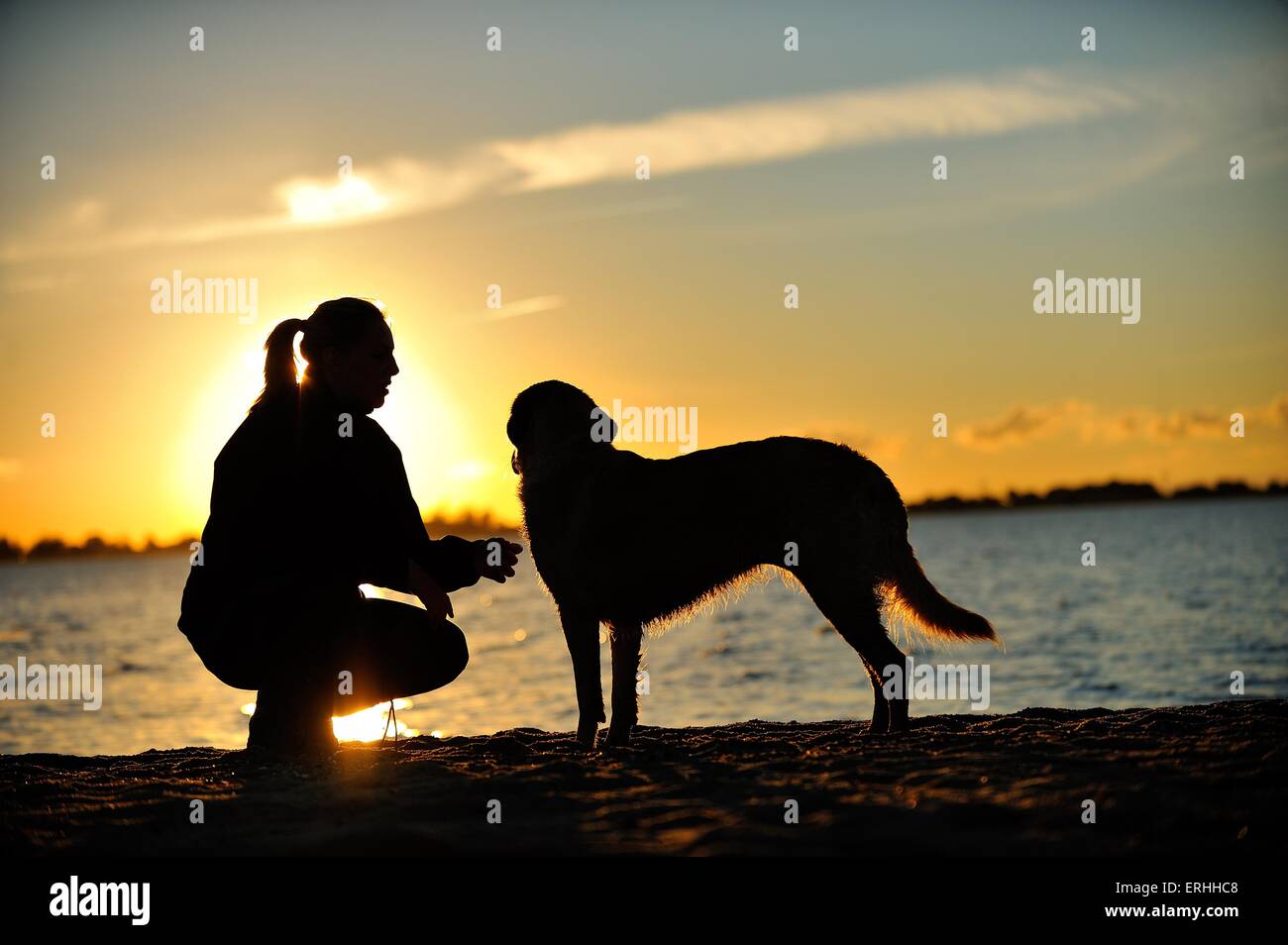 Frau und Golden Retriever Stockfoto