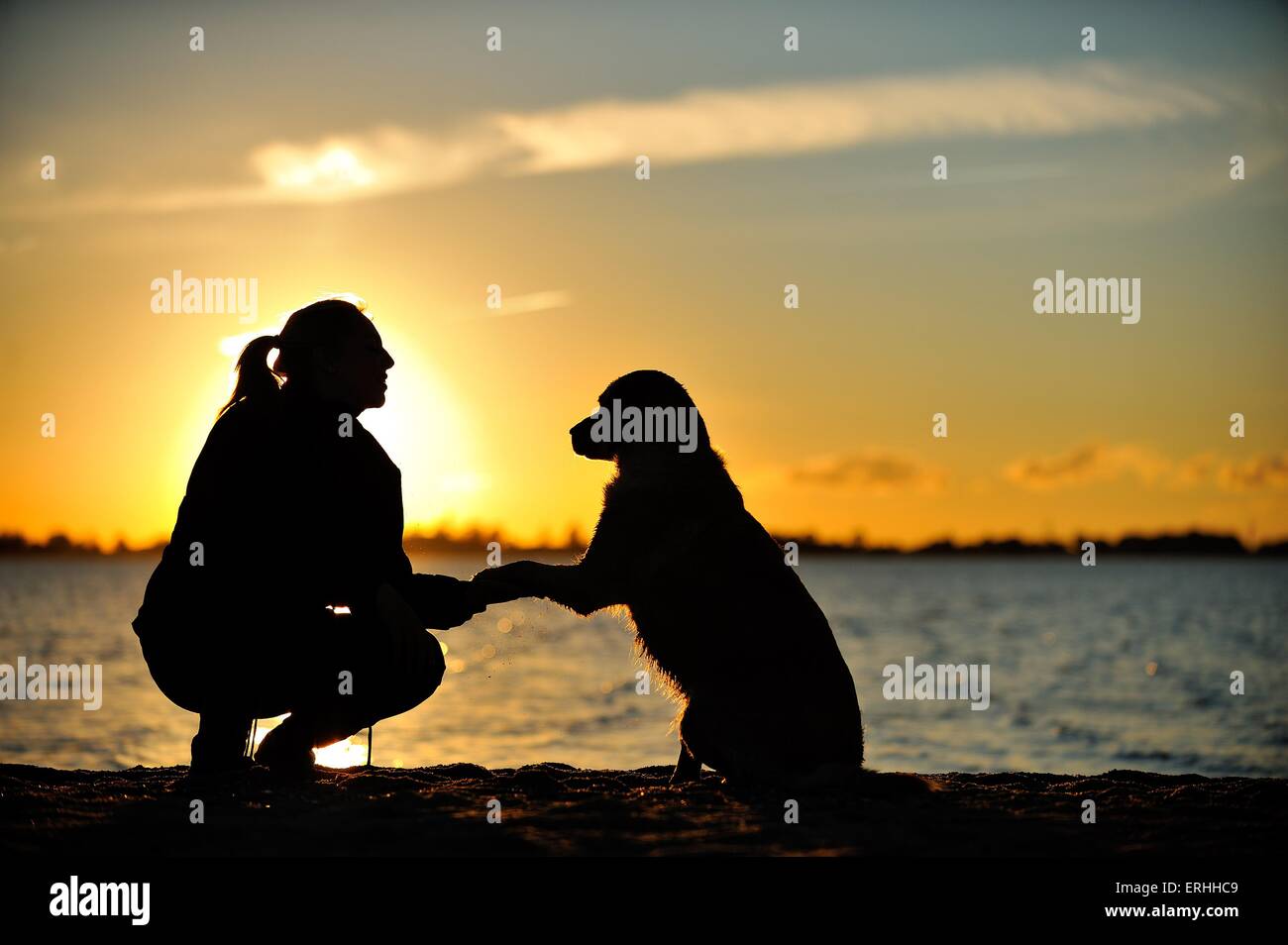 Frau und Golden Retriever Stockfoto