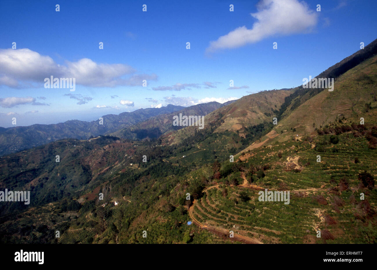 Die Blue Mountains in Jamaika Stockfoto