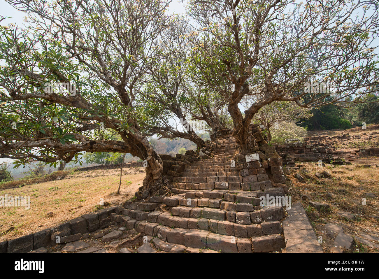 Atmosphärischen Ruinen von Vat Phou (Wat Phu) in Champasak, Laos Stockfoto