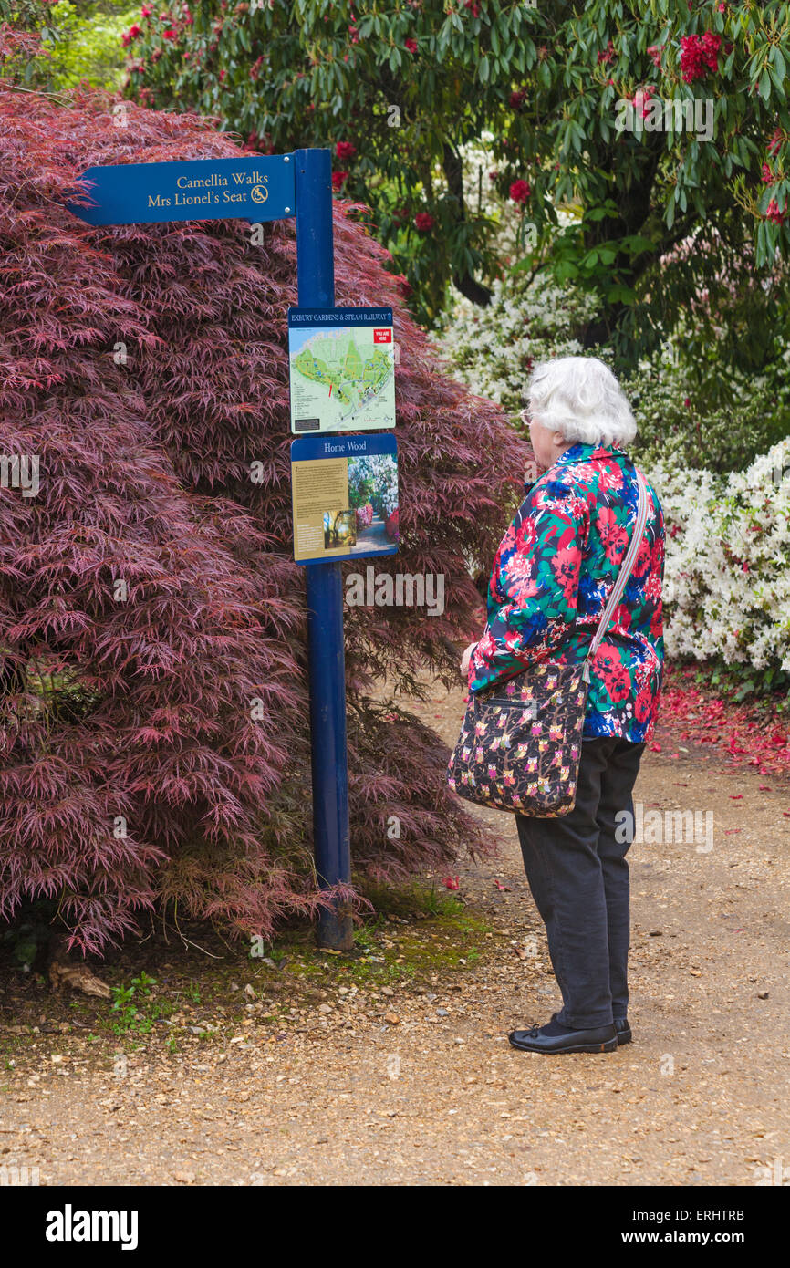 Frau an der Karte und Informationen über die Wegweiser an Exbury Gardens suchen, New Forest National Park, Hampshire Großbritannien im Mai Frühling Stockfoto