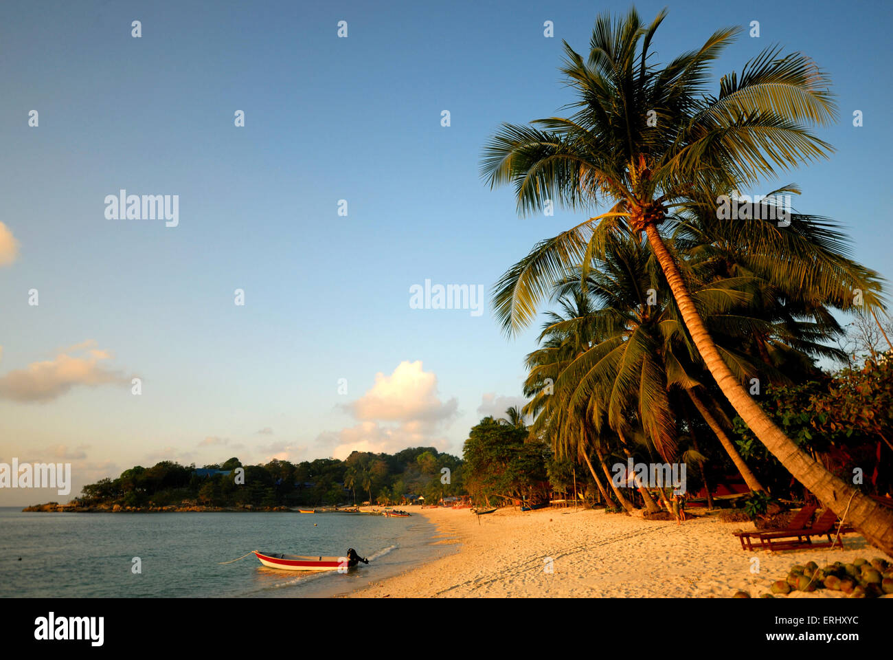 Tropischer Strand Stockfoto