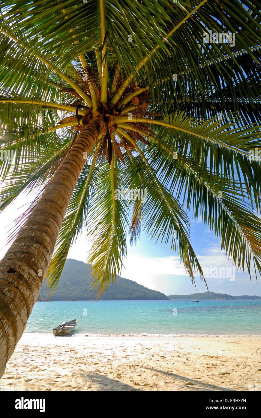 Eine einsame Palme auf einer einsamen tropischen Insel. Stockfoto