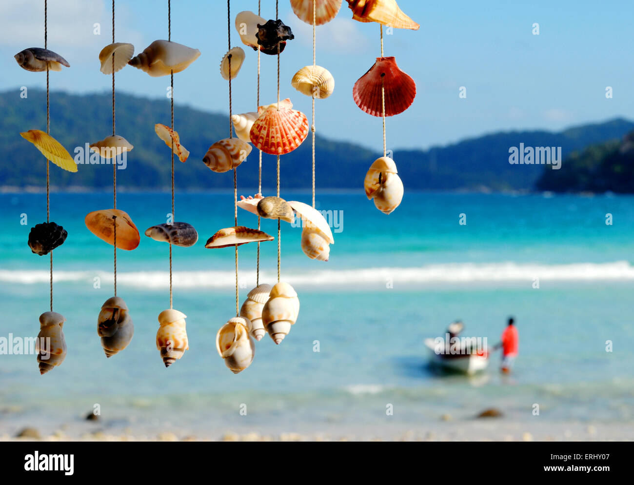 Muscheln am Ufer Meeres. Stockfoto