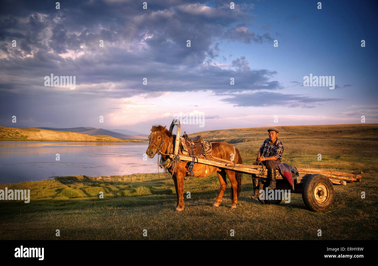 Pferd-Mann sitzt Pferd Wagen malerische Aussicht Natur Stockfoto